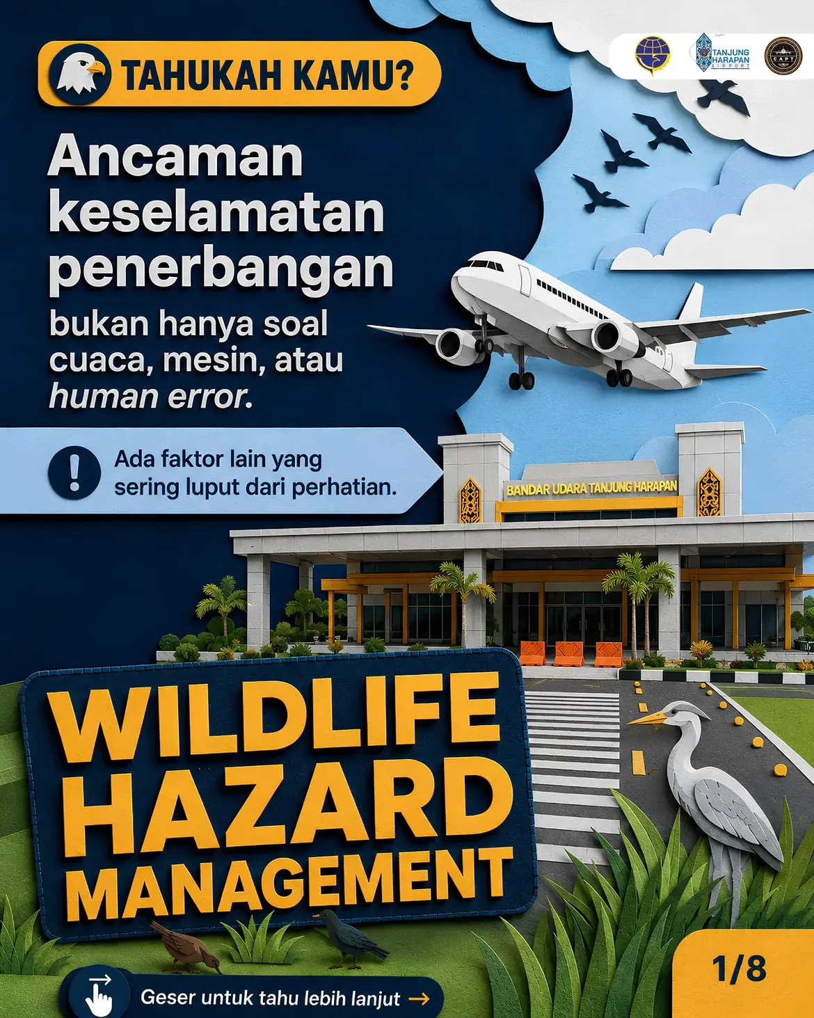 Bukan Cuma Ngusir Burung! Ini Alasan Mengapa Satwa Liar di Bandara Wajib Dikelola
