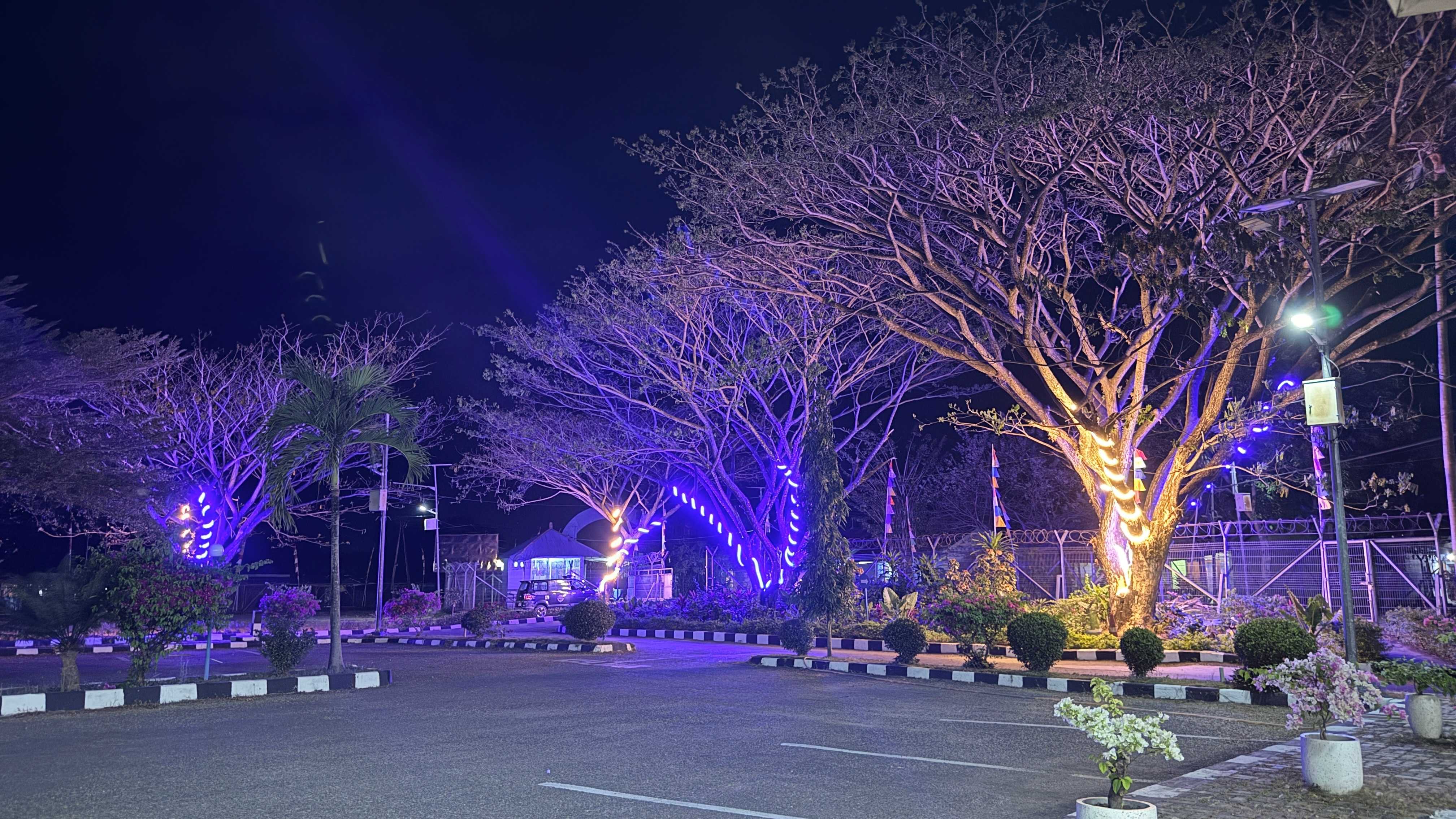 Taman - Foto 6