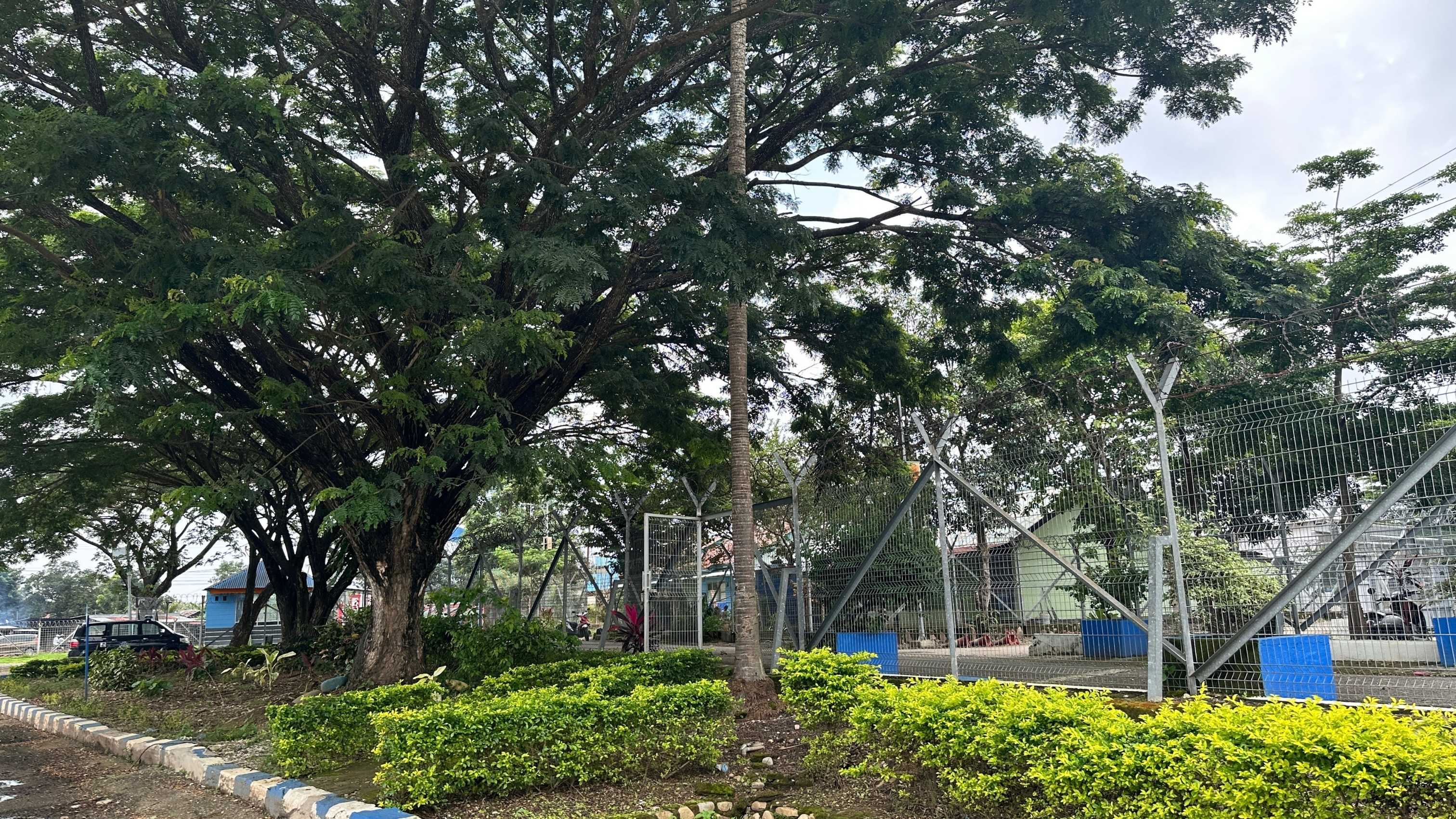 Taman - Foto 8