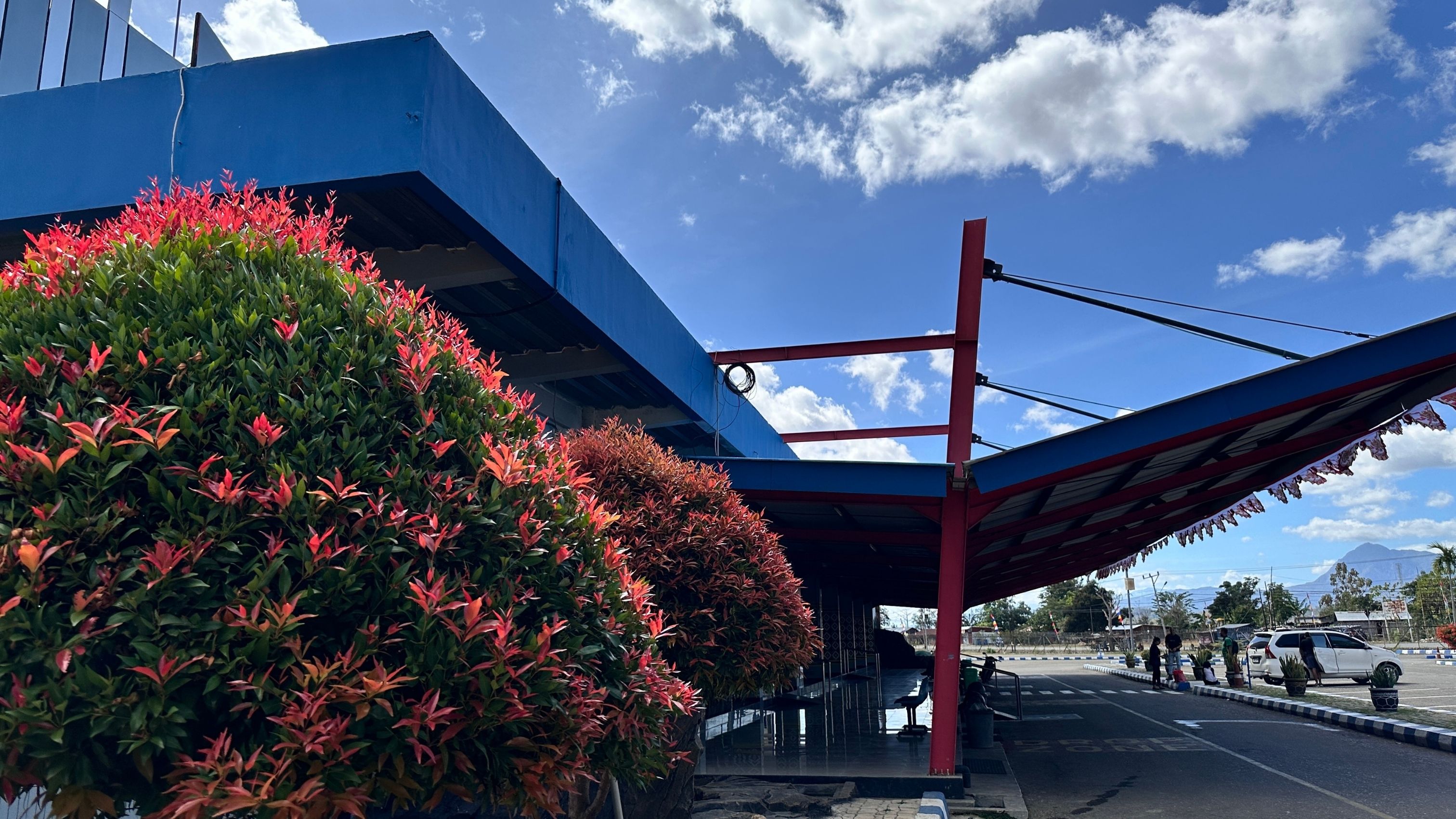 Taman - Foto 10