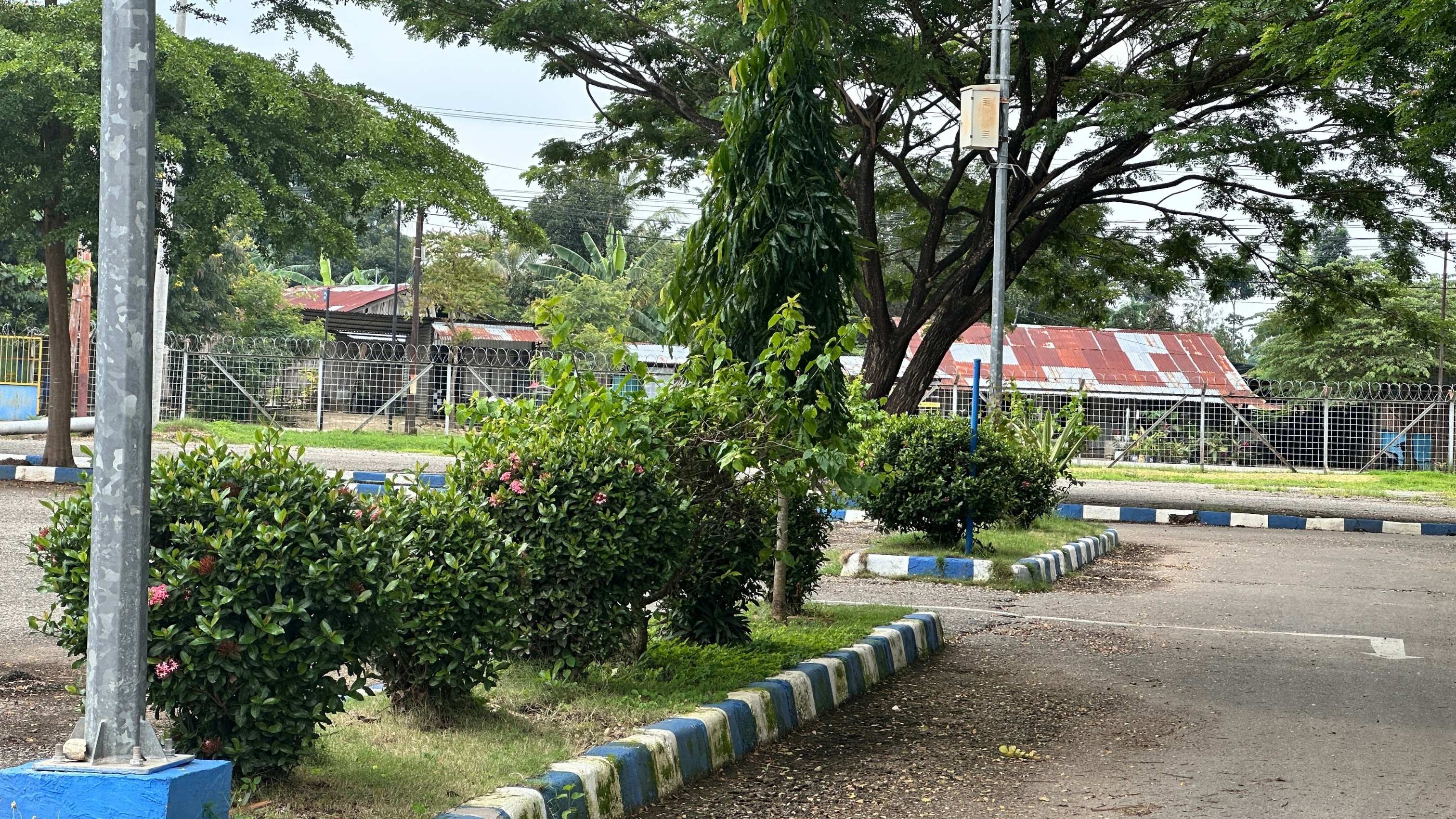 Taman - Foto 12