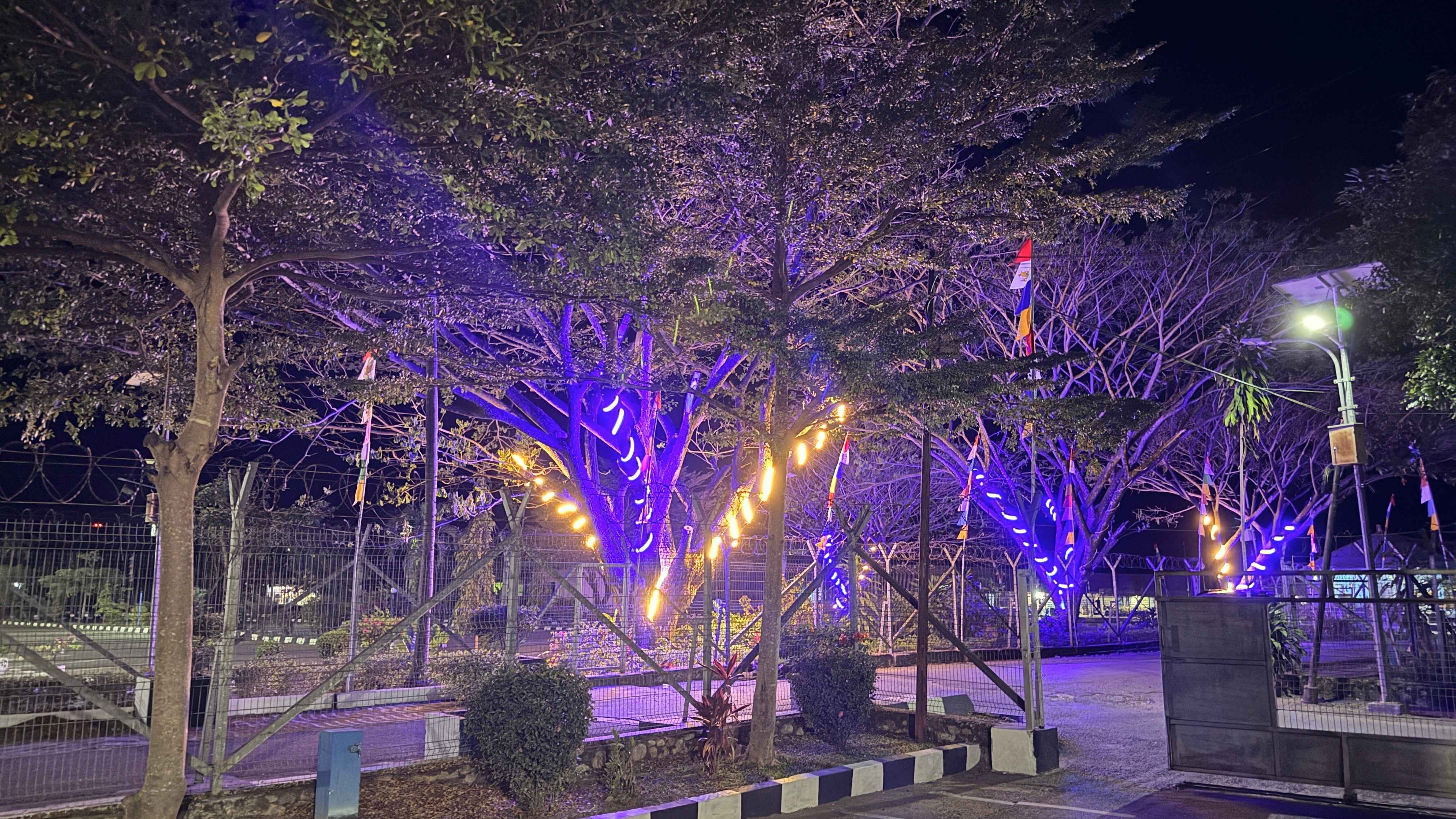 Taman - Foto 9