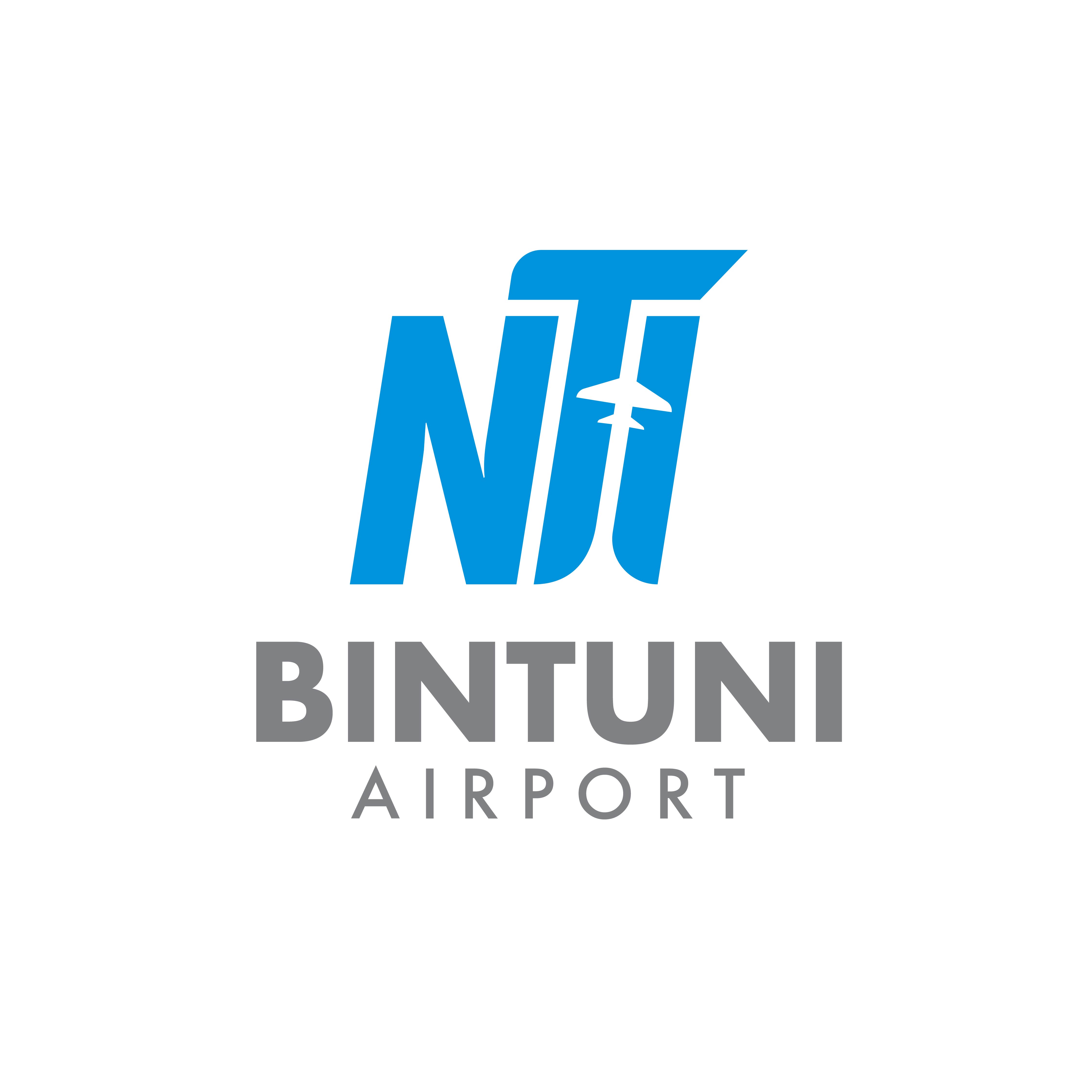 Logo Bandar Udara Bintuni - Foto 2