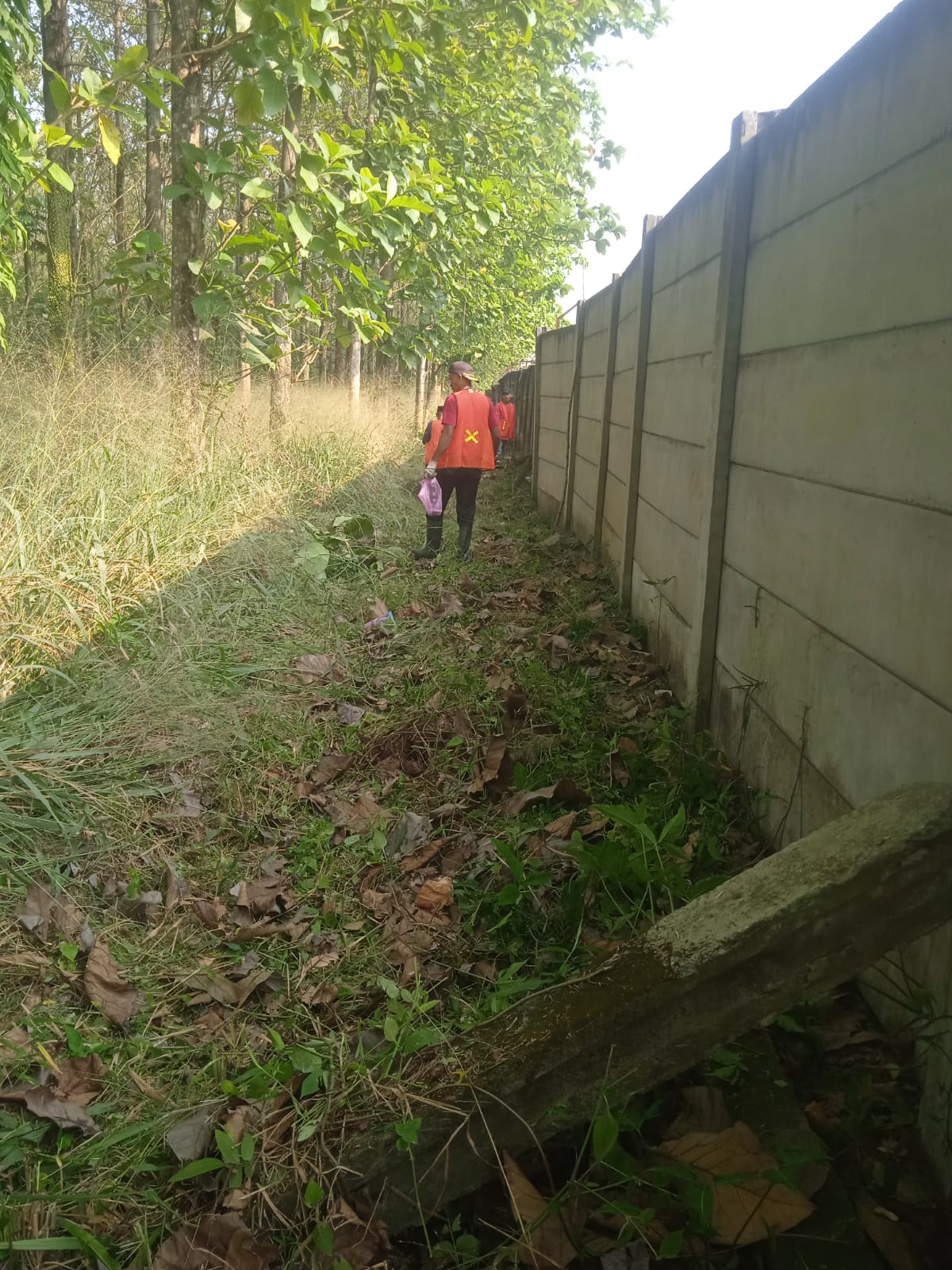 Program Padat Karya TA. 2026 - Foto 6
