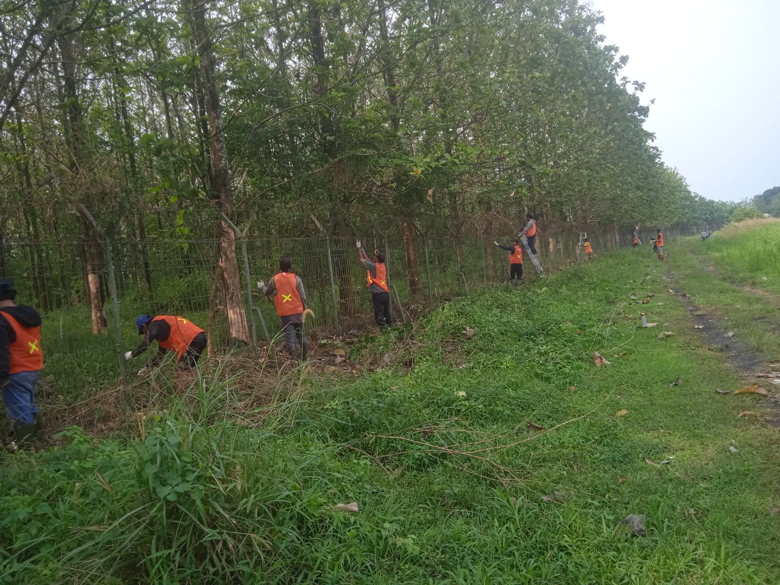 Program Padat Karya TA. 2026 - Foto 2