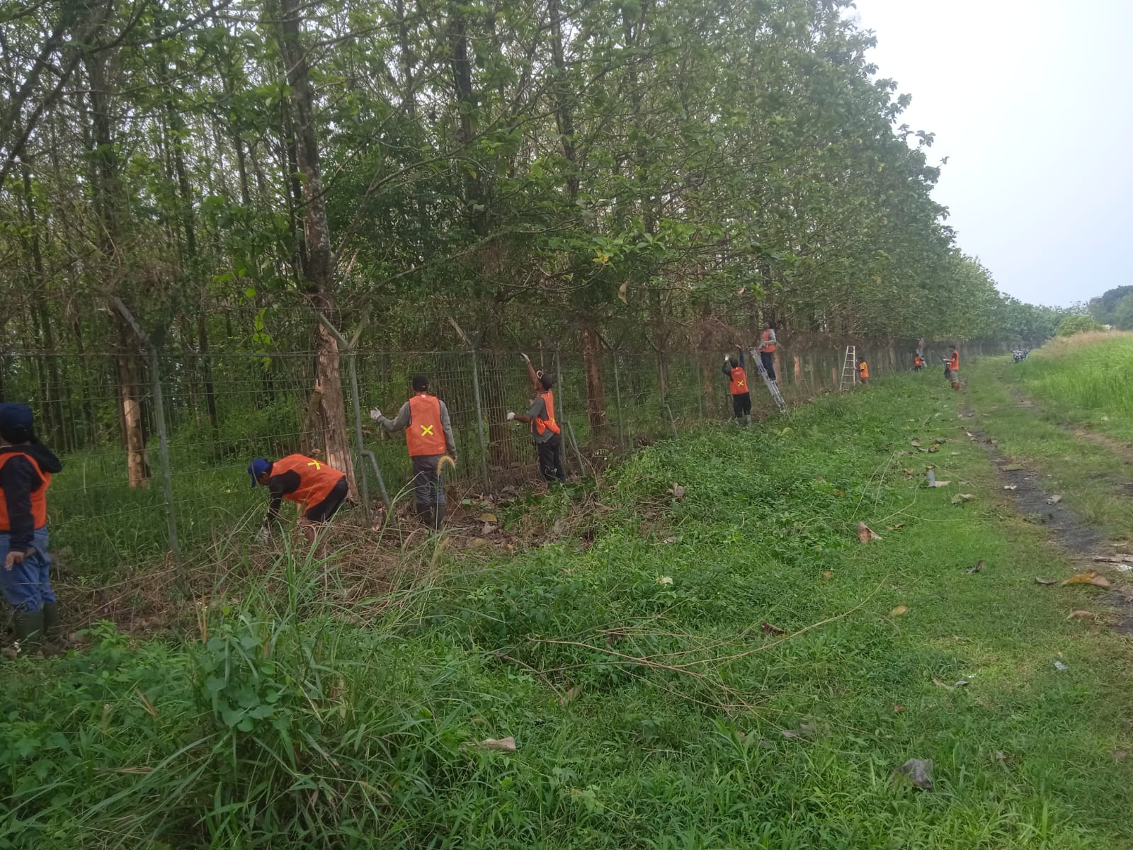 Program Padat Karya TA. 2026 - Foto 6