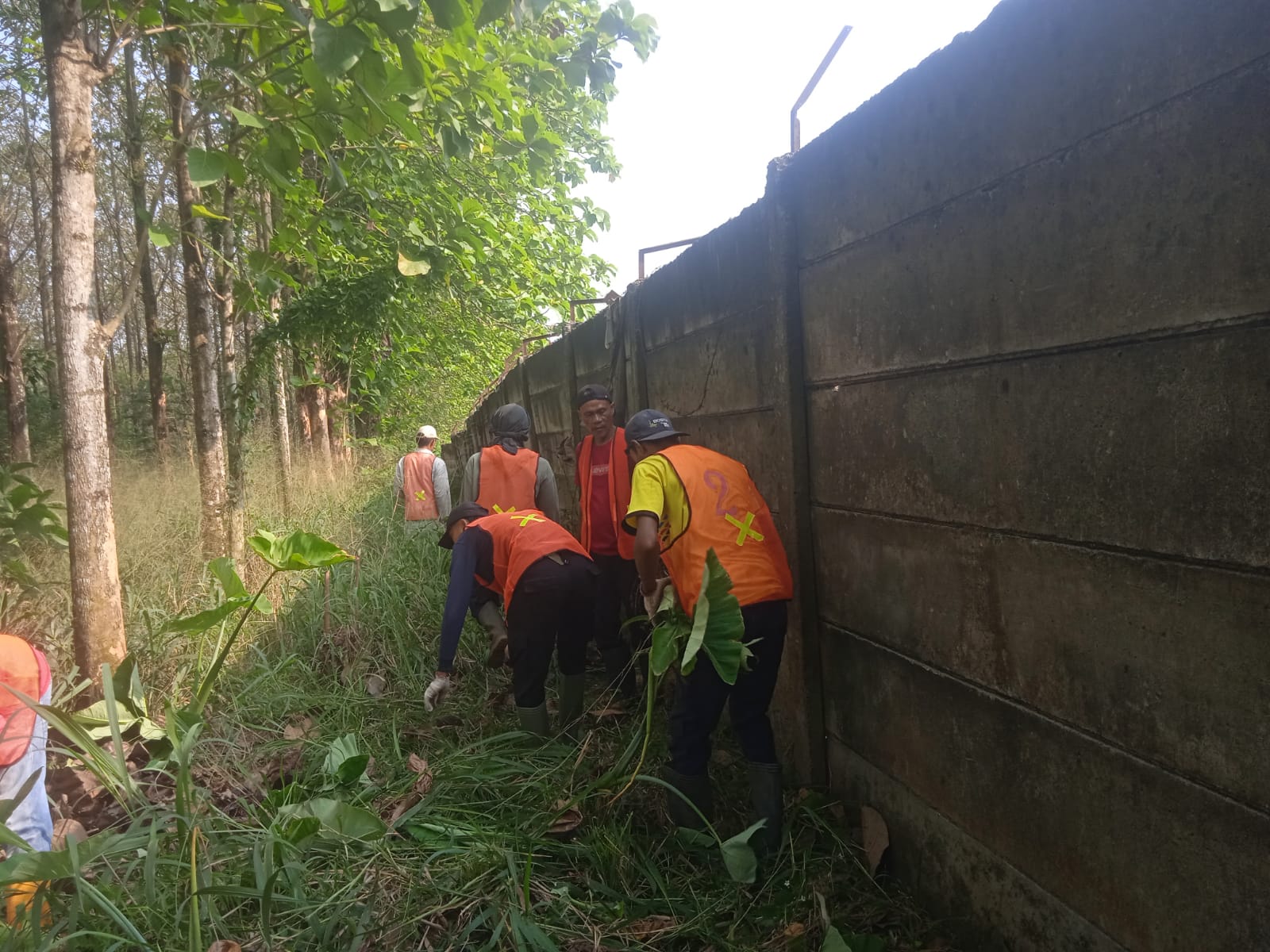 Program Padat Karya TA. 2026 - Foto 4