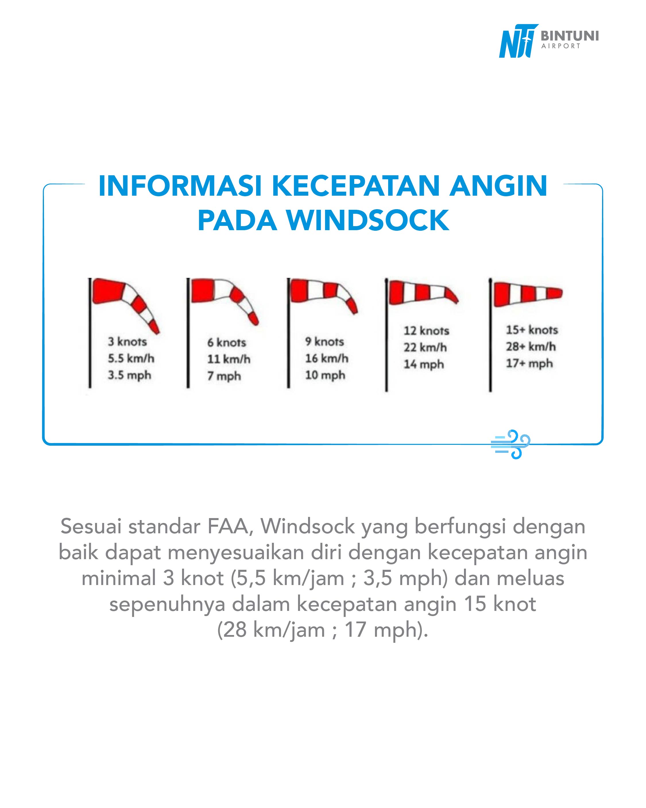 Infografis 2