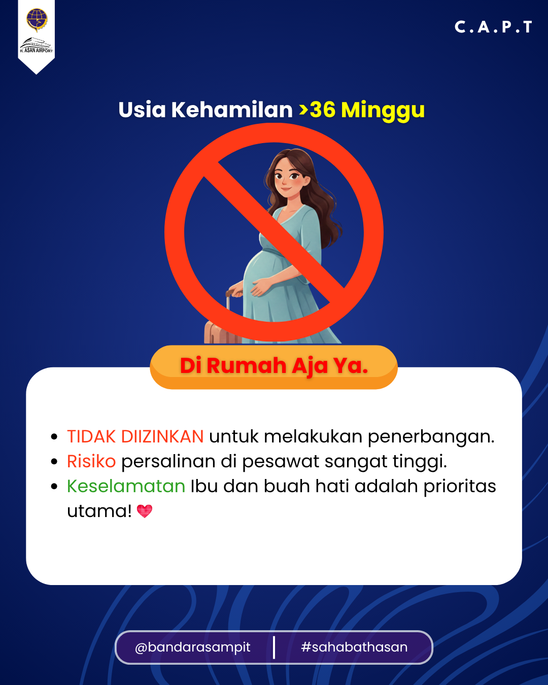 Infografis 3