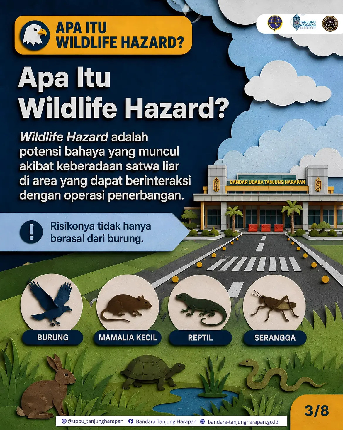 Infografis 5