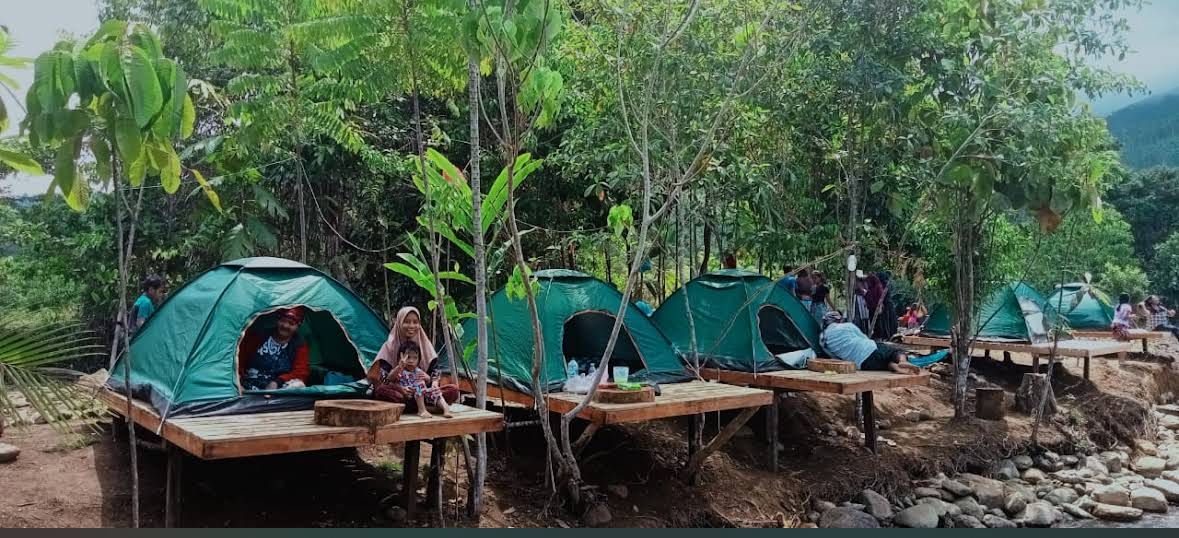 Wisata tongata jungle