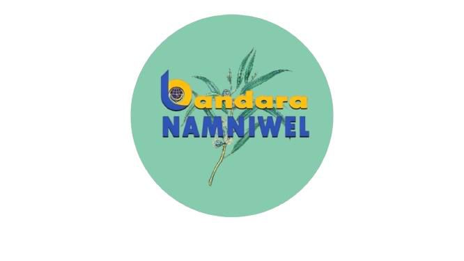 Logo Bandara NAMNIWEL
