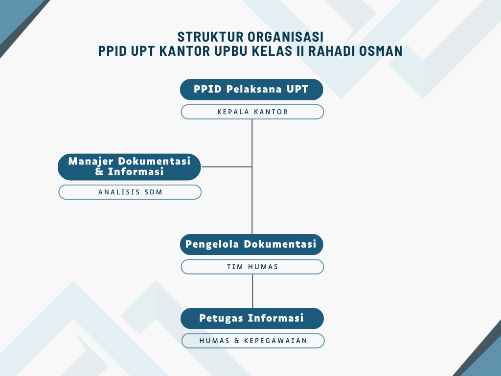 White and Blue Modern Organizational Structure Graph.png